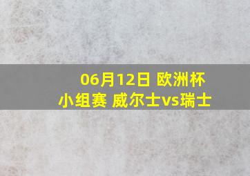 06月12日 欧洲杯小组赛 威尔士vs瑞士